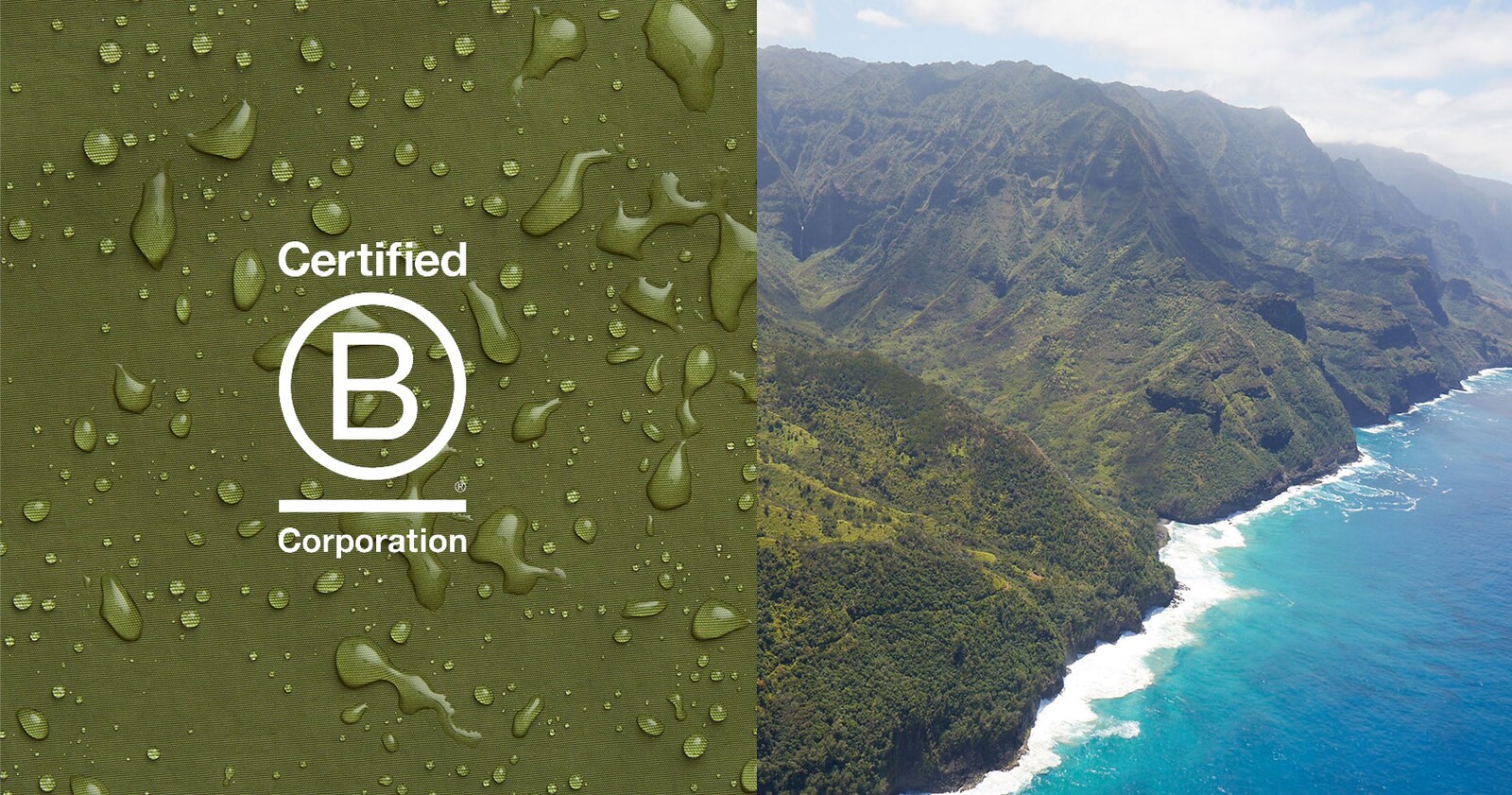 B Corporation