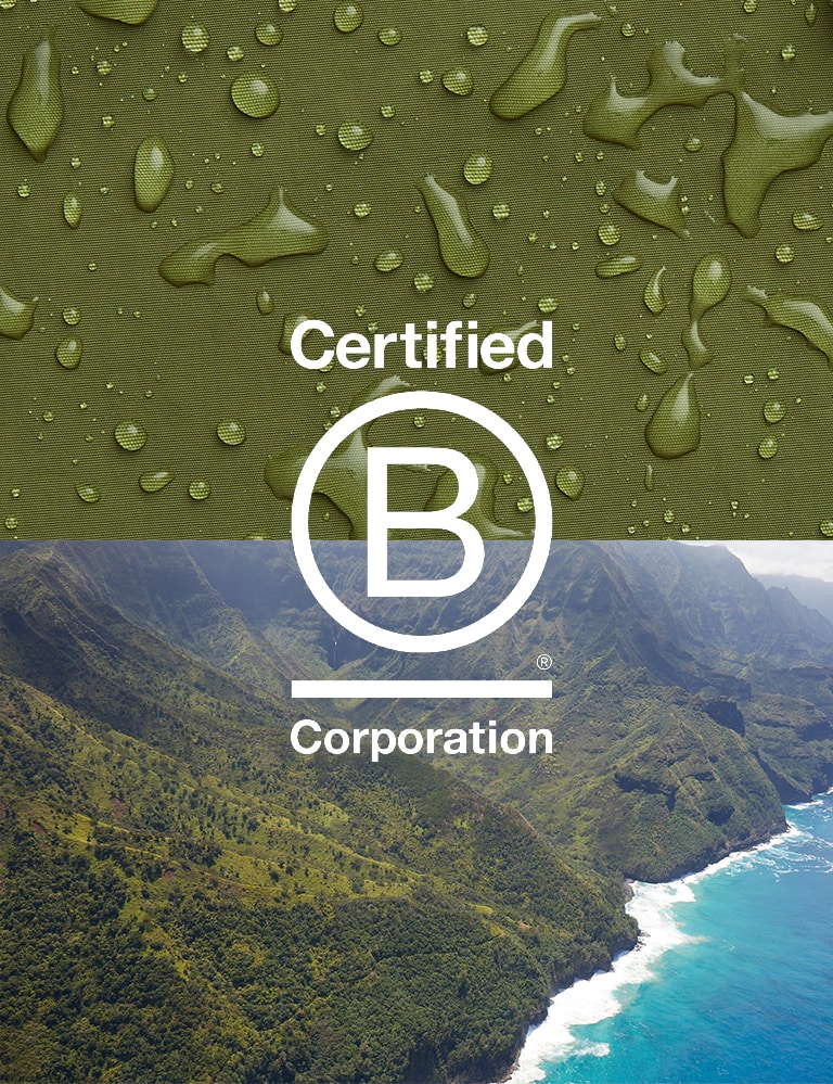 B Corporation