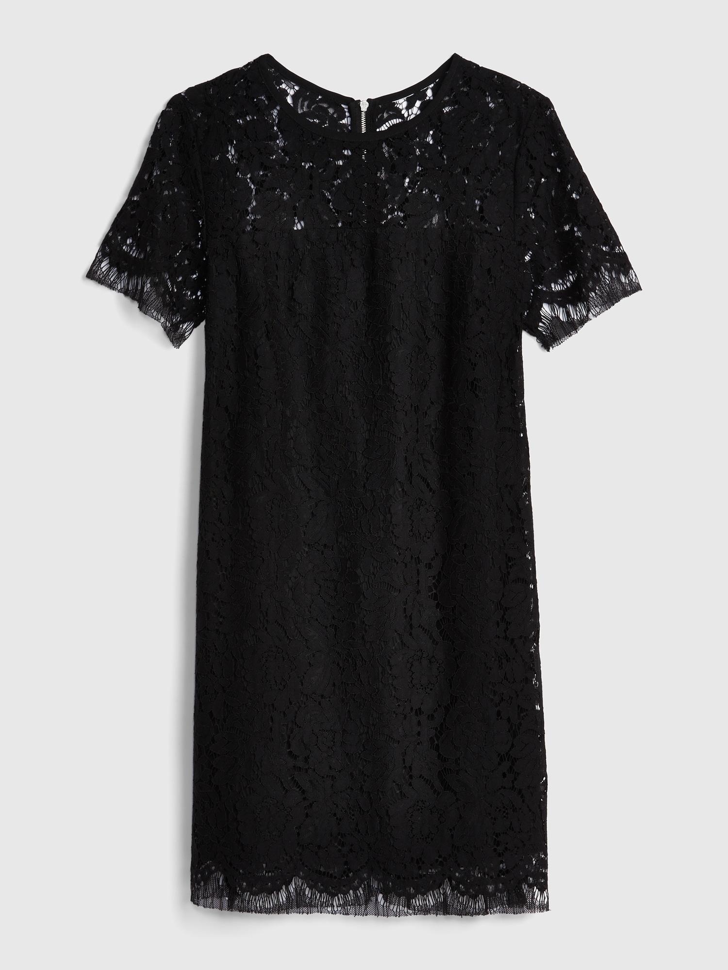 gap lace dress