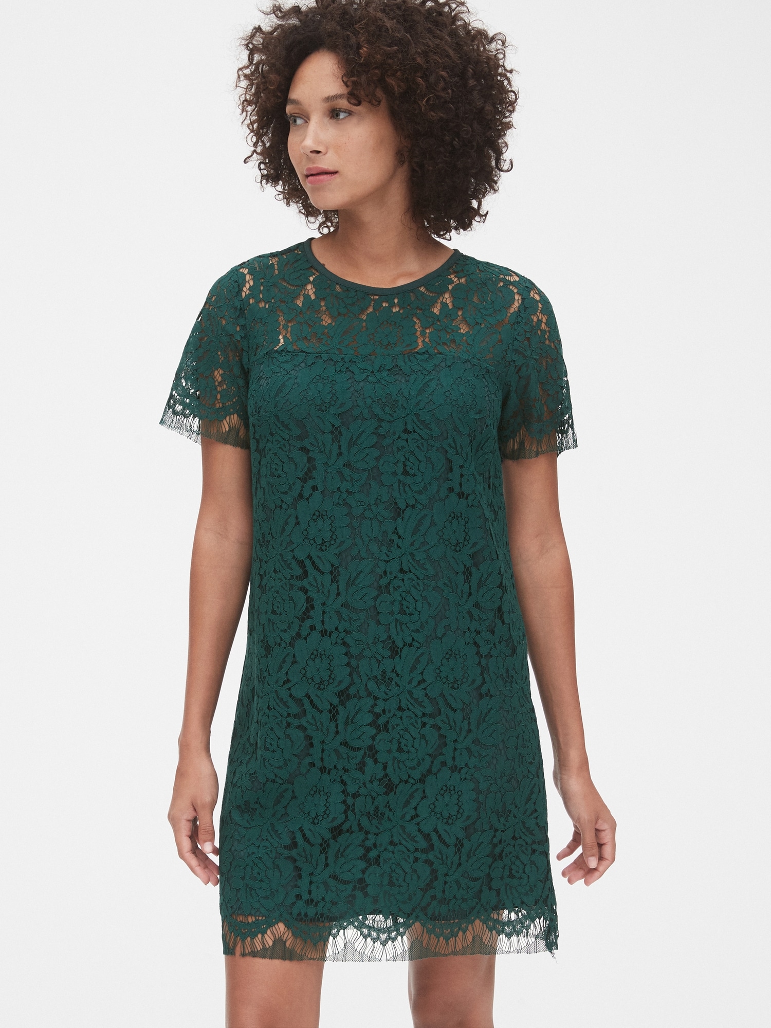 gap lace dress