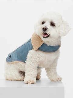 gap dog sweater