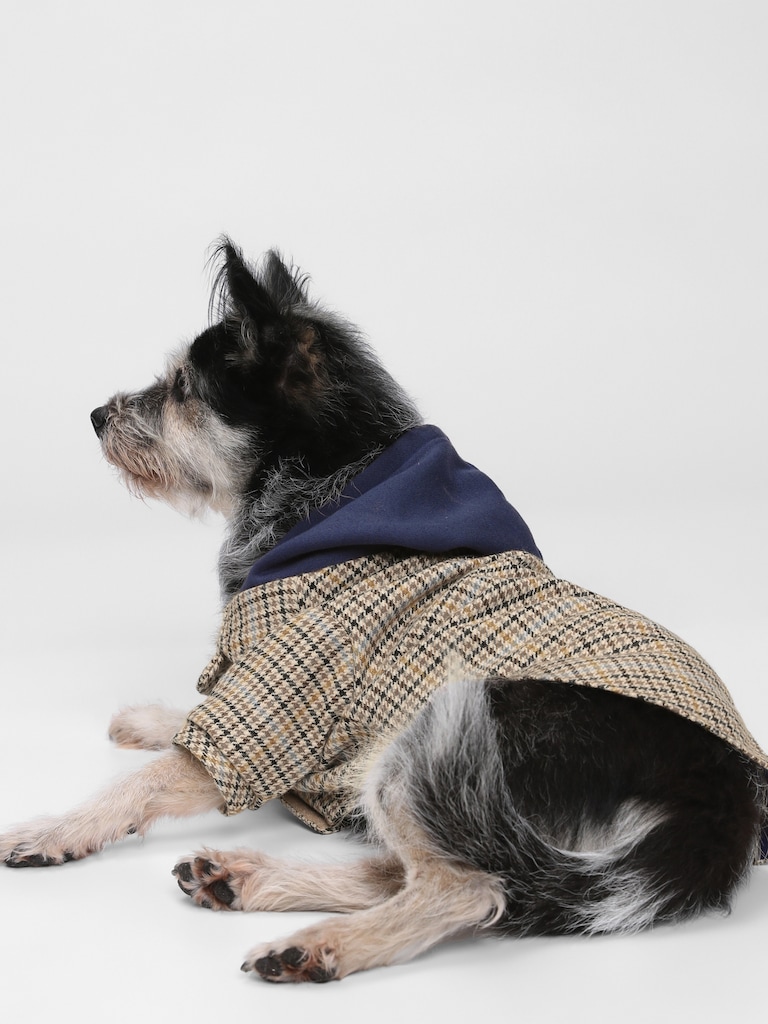 Dog Wool Hoodie