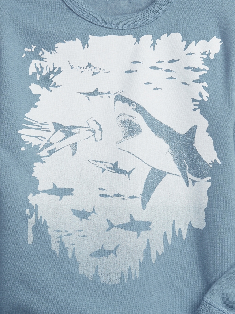 Kids Graphic Crewneck Sweatshirt