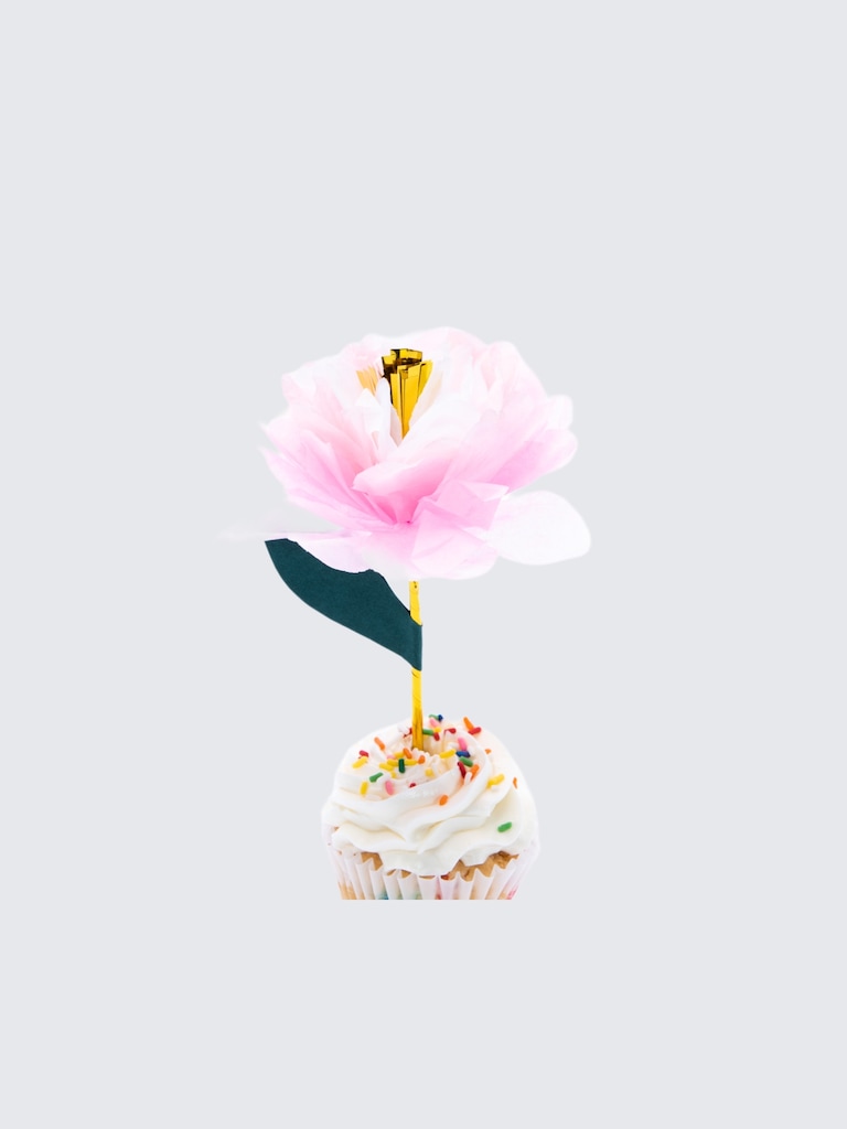 Ma Fete Tea Party Decoration and Activity Kit