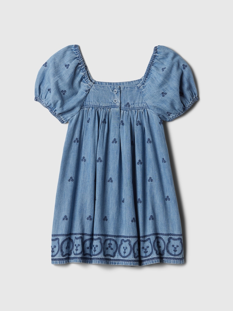 Baby & Toddler Embroidered Denim Dress