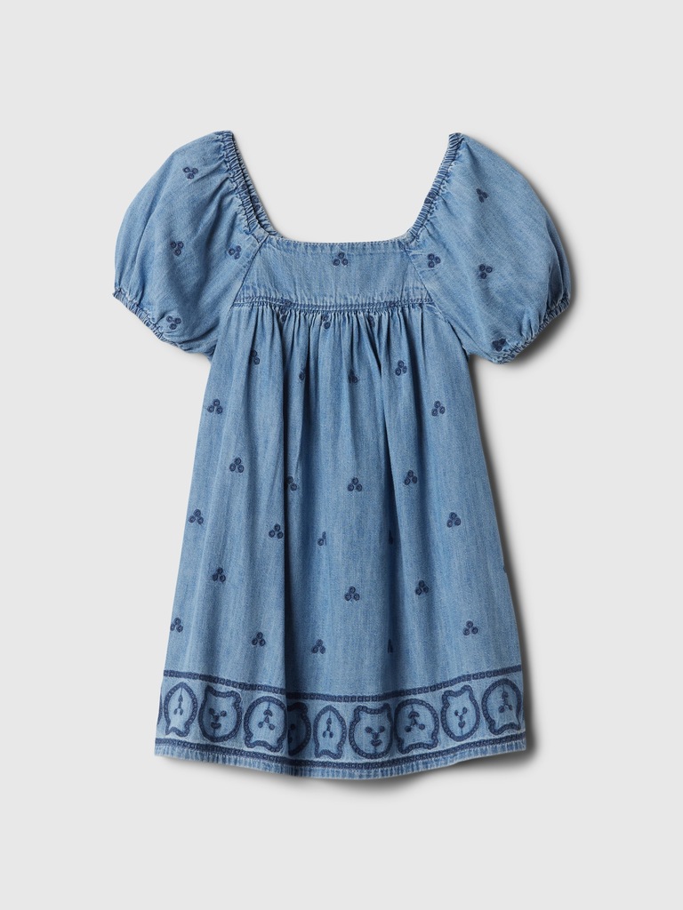 Baby & Toddler Embroidered Denim Dress