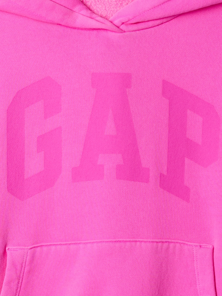 Kids Vintage Soft Logo Hoodie
