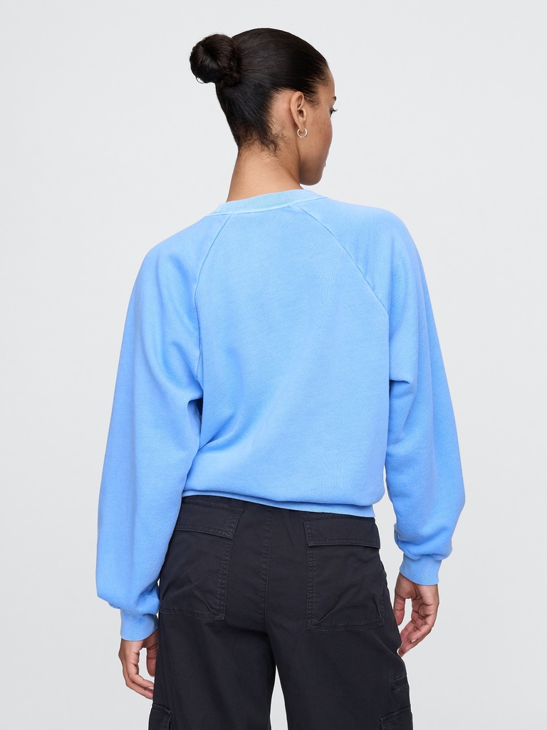 VintageSoft Raglan Sweatshirt