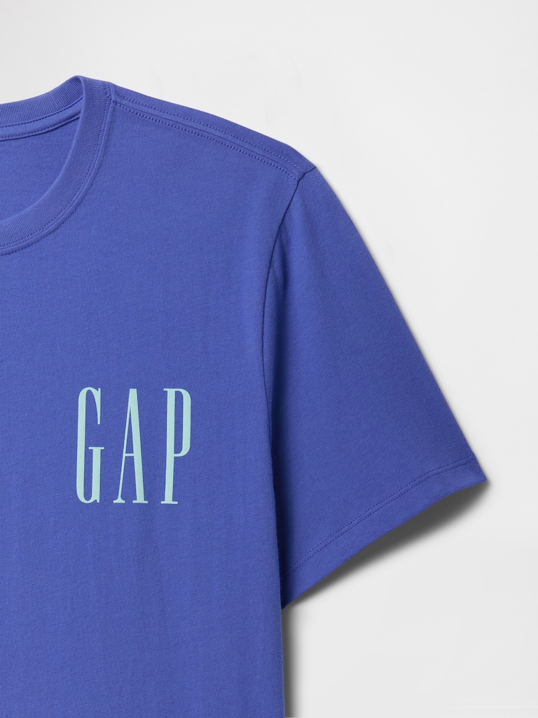 Everyday Soft Gap Graphic T-Shirt