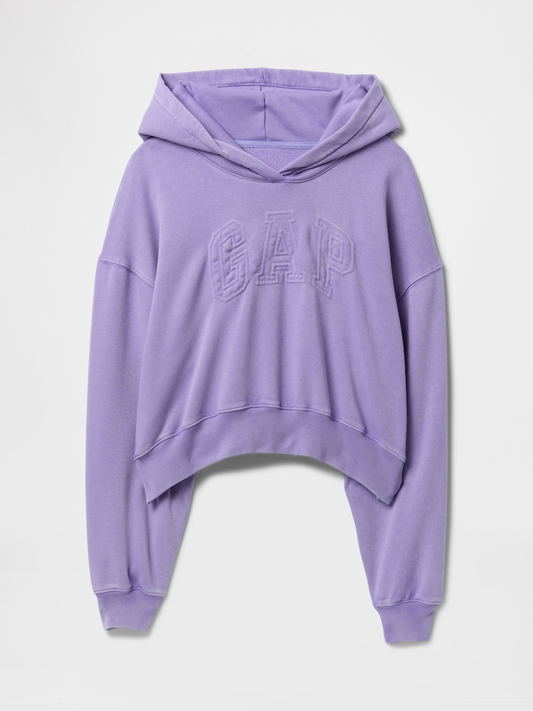 VintageSoft Crop Logo Hoodie