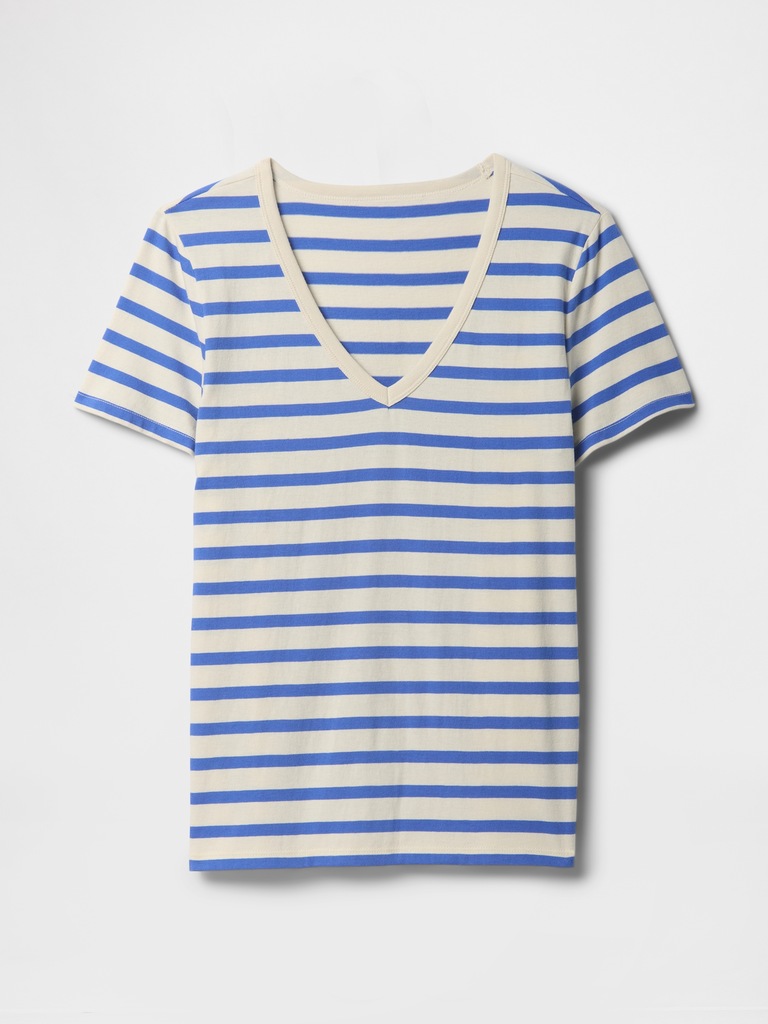 Favorite Stripe V-Neck T-Shirt