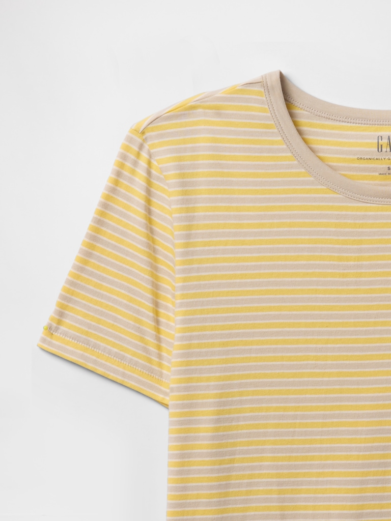 Organic Cotton VintageSoft T-Shirt