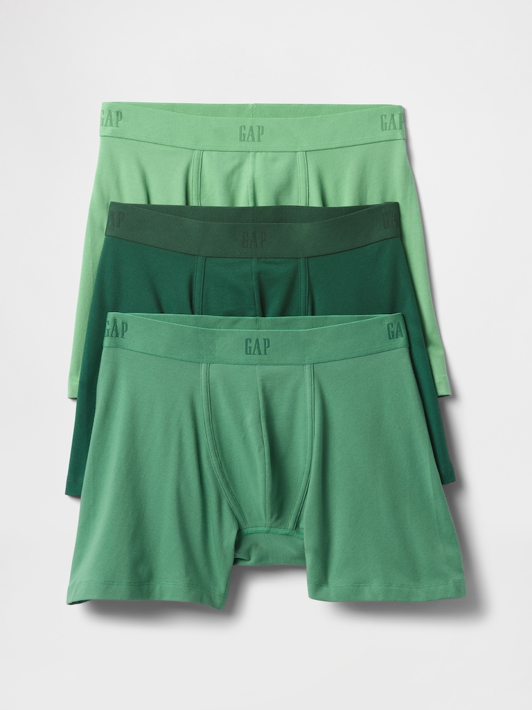 5" Boxer Briefs (3-Pack)