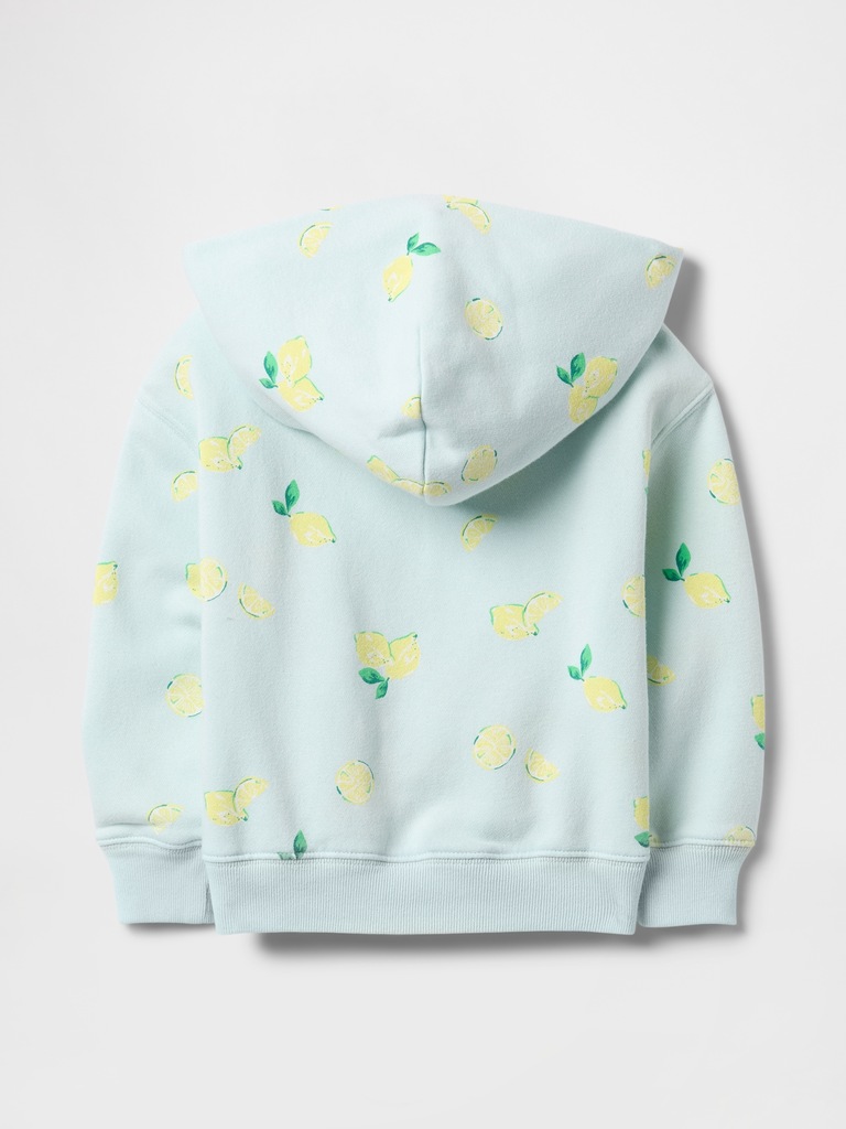 Baby & Toddler VintageSoft Logo Zip Hoodie