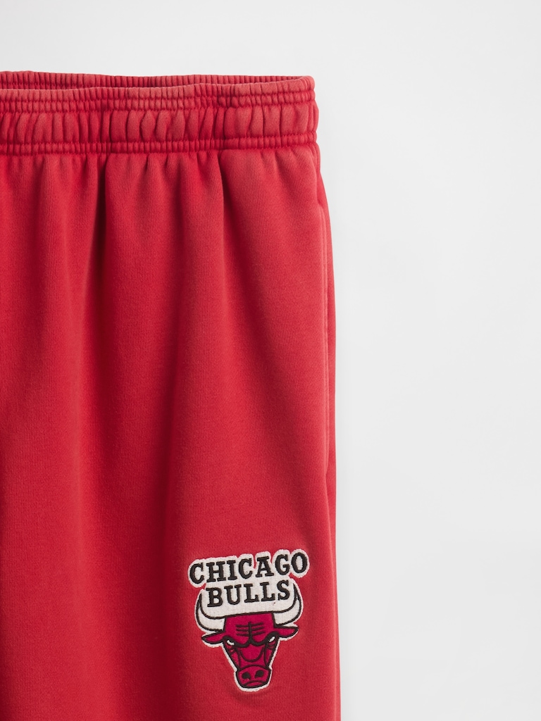 NBA Chicago Bulls Logo Heavyweight Joggers