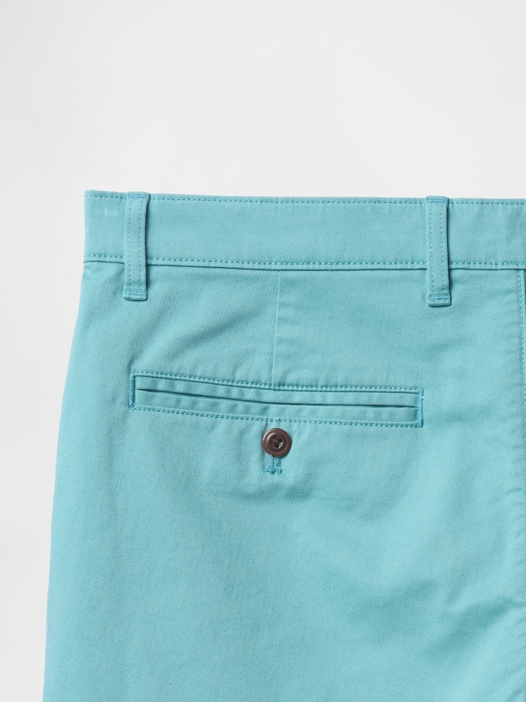 10" Vintage Shorts