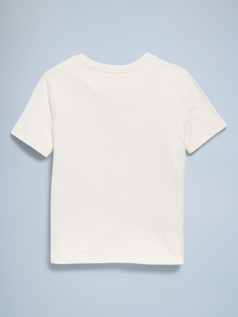 Birthday Graphic T-Shirt for Toddler Girls