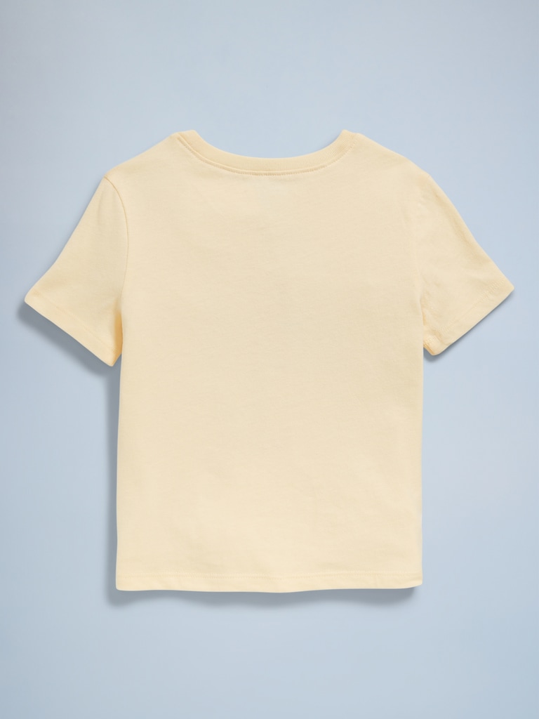 Birthday Graphic T-Shirt for Toddler Girls