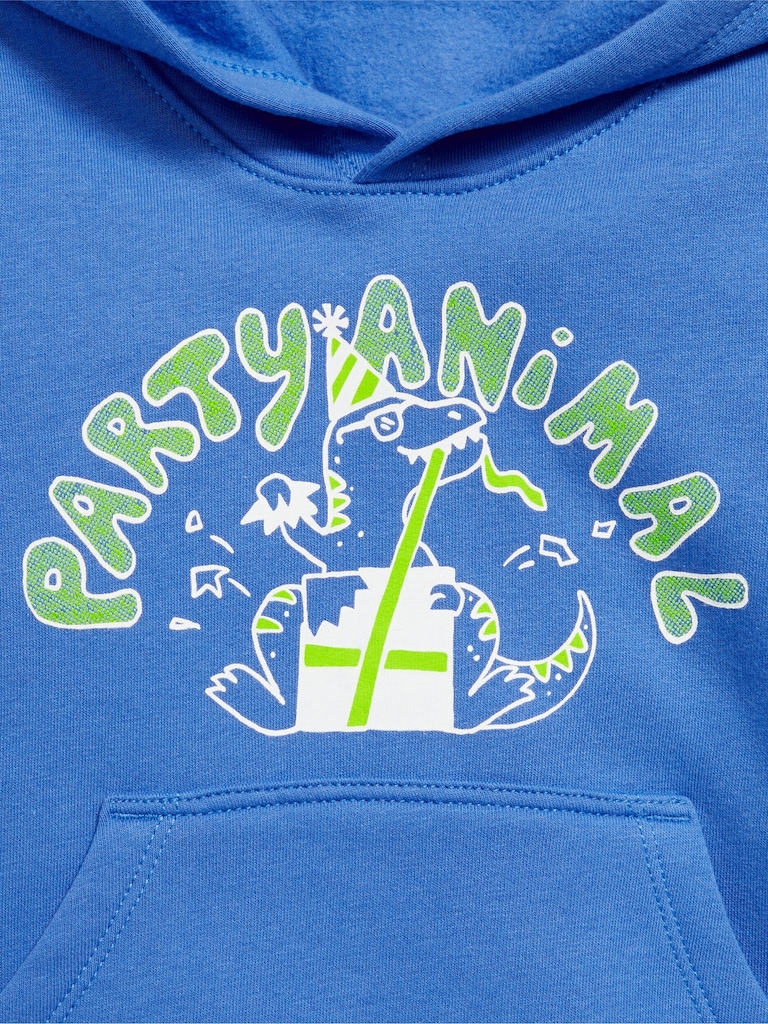 Birthday Graphic Pullover Hoodie for Toddler Boys