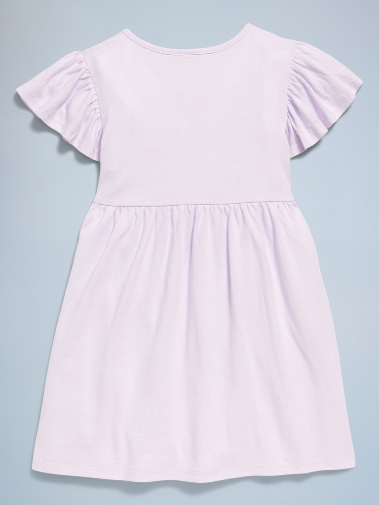 Birthday Embroidered Pockets Fit and Flare Dress for Toddler Girls
