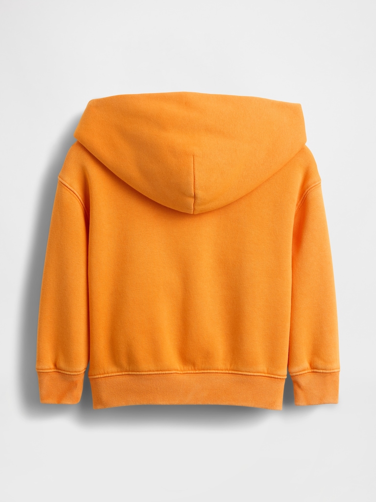 Baby & Toddler VintageSoft Relaxed Hoodie