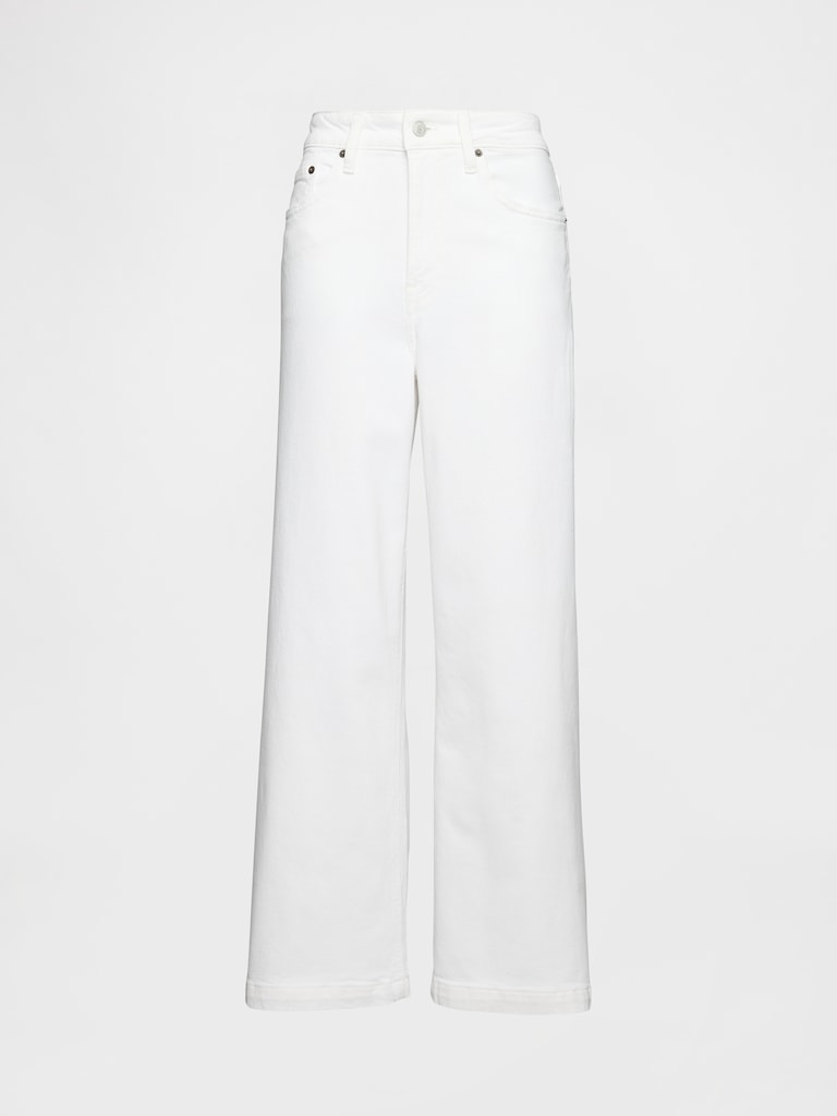 Curvy High Rise Stride Wide-Leg Ankle Jeans