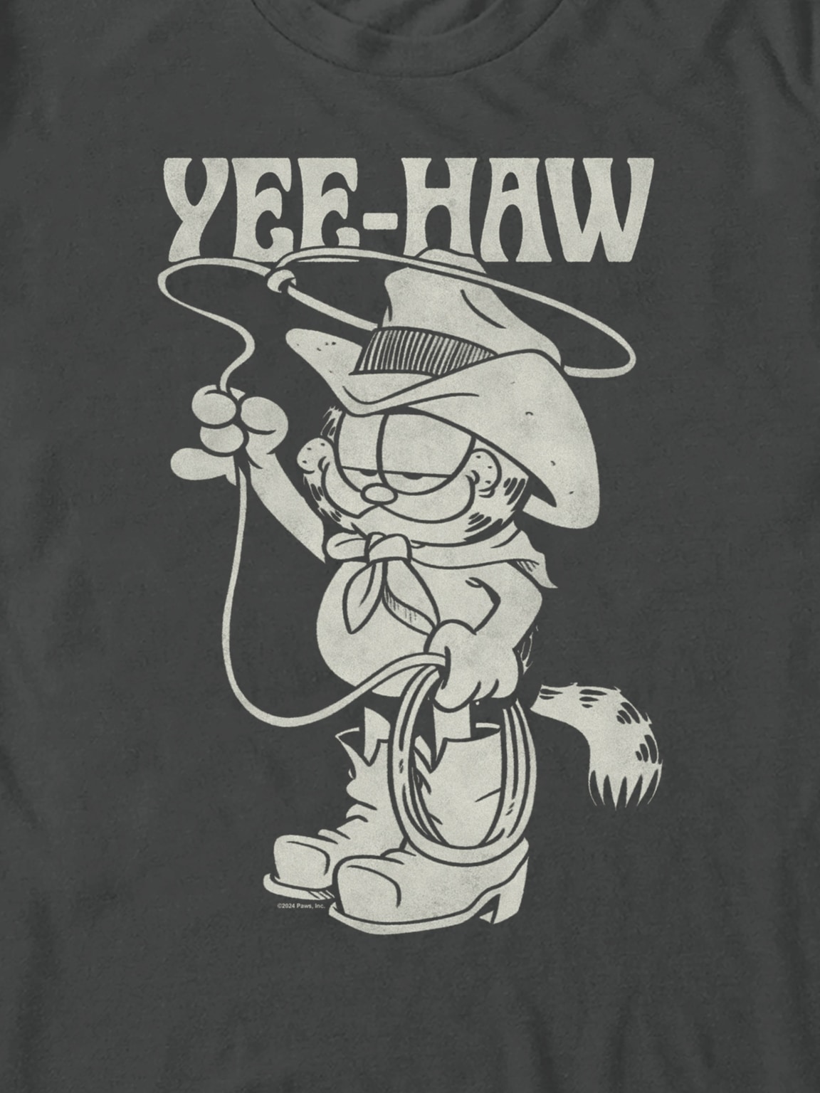 Garfield Yee-Haw Graphic T-Shirt
