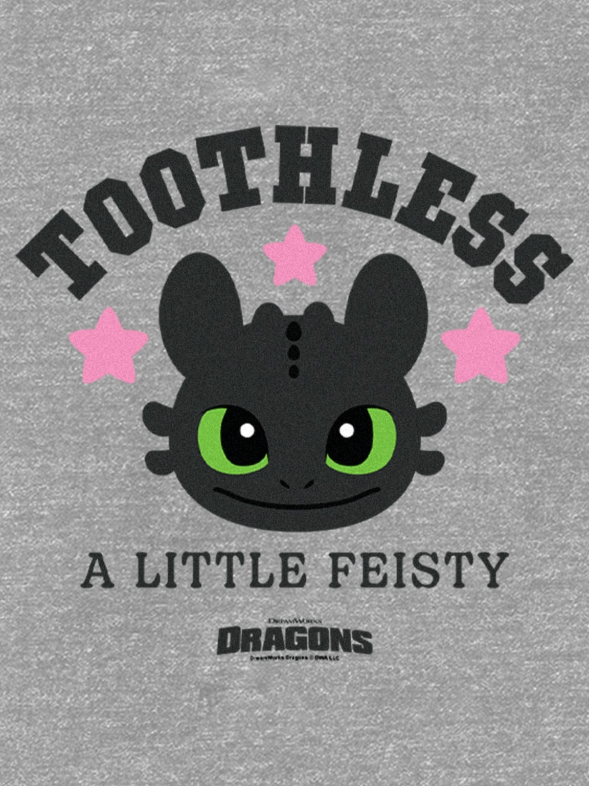 Toddler How To Train Your Dragon Toothless Fiesty Graphic T-Shirt