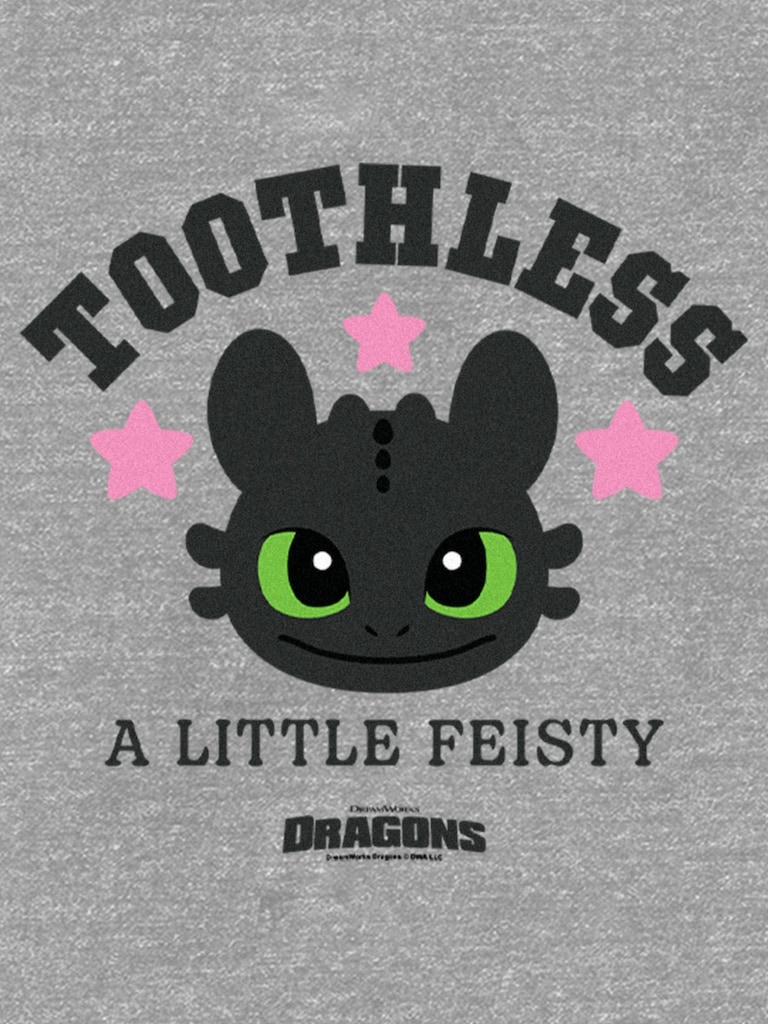 Toddler How To Train Your Dragon Toothless Fiesty Graphic T-Shirt