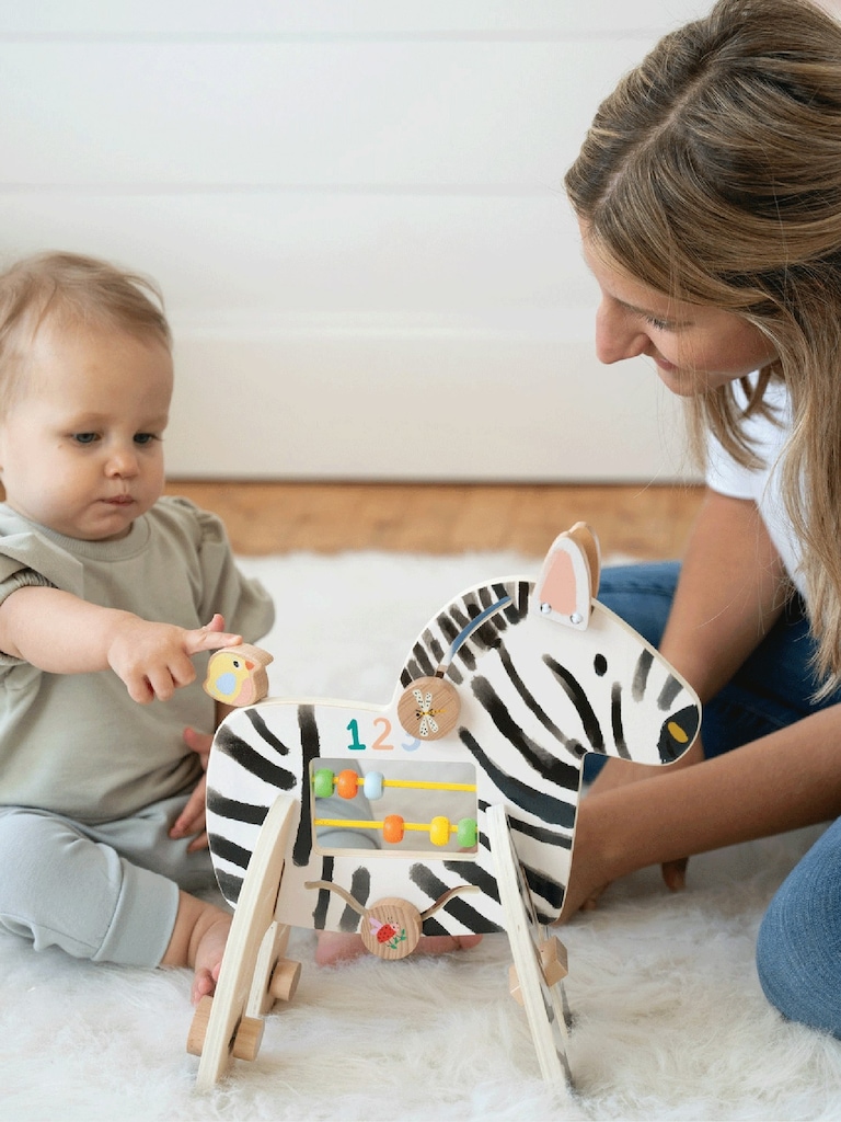Safari Zebra Activity Toy