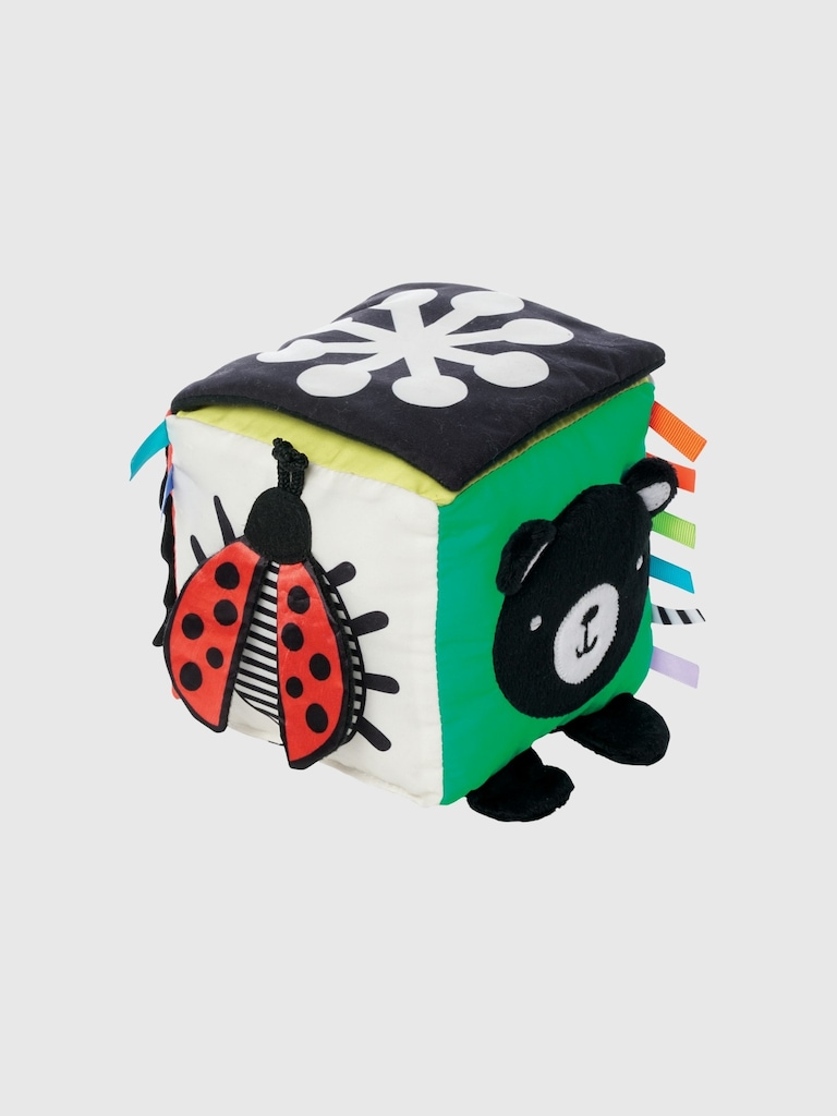 Wimmer Discovery Cube