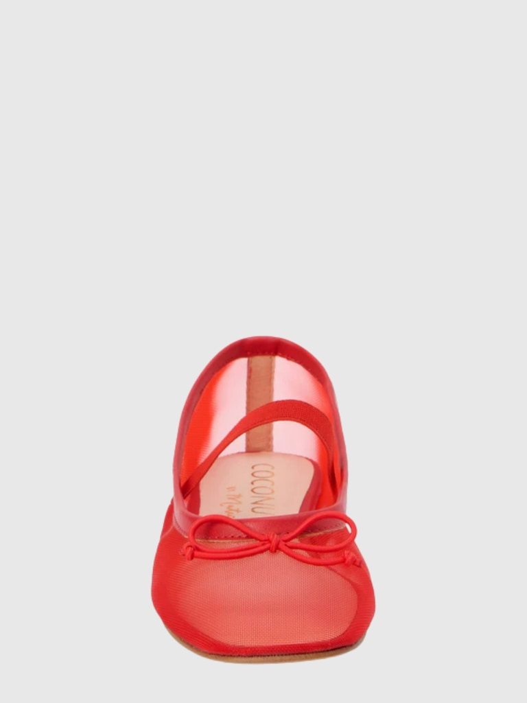 Bronx Ballet Flat
