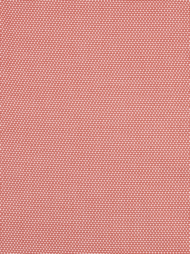 Chemise standard habillée infroissable