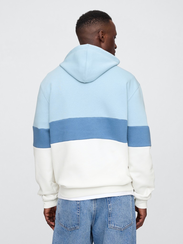 Relaxed Gap Logo Colorblock Hoodie