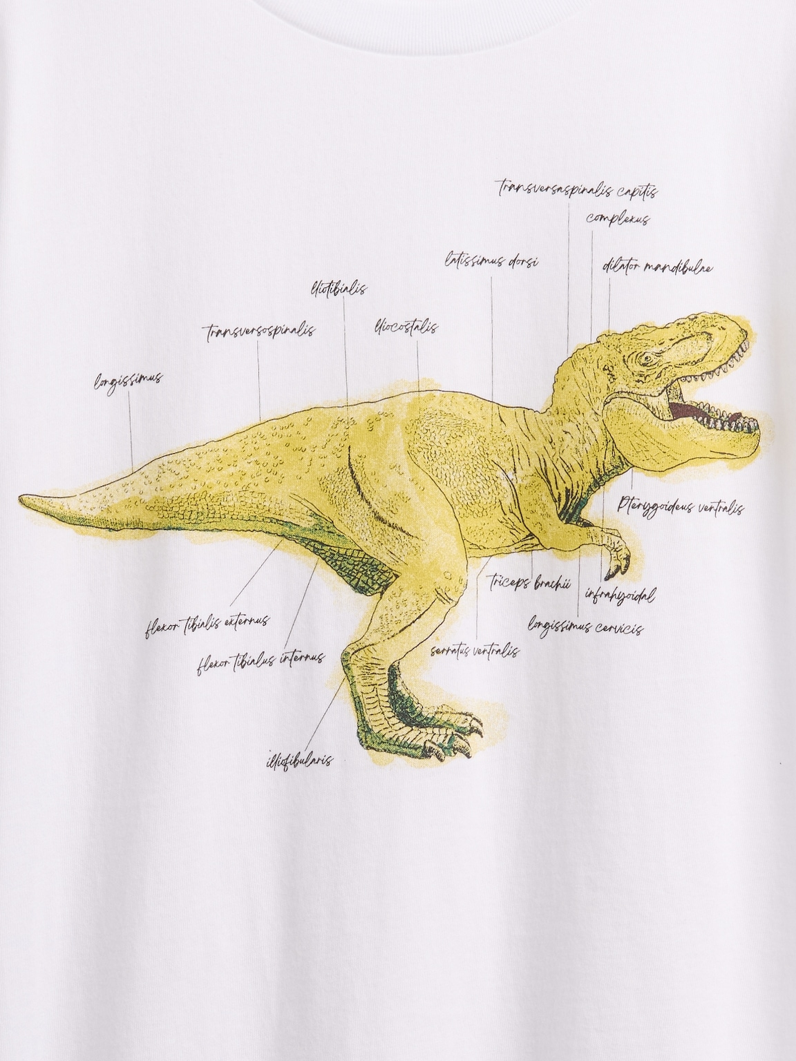 Kids Graphic T-Shirt