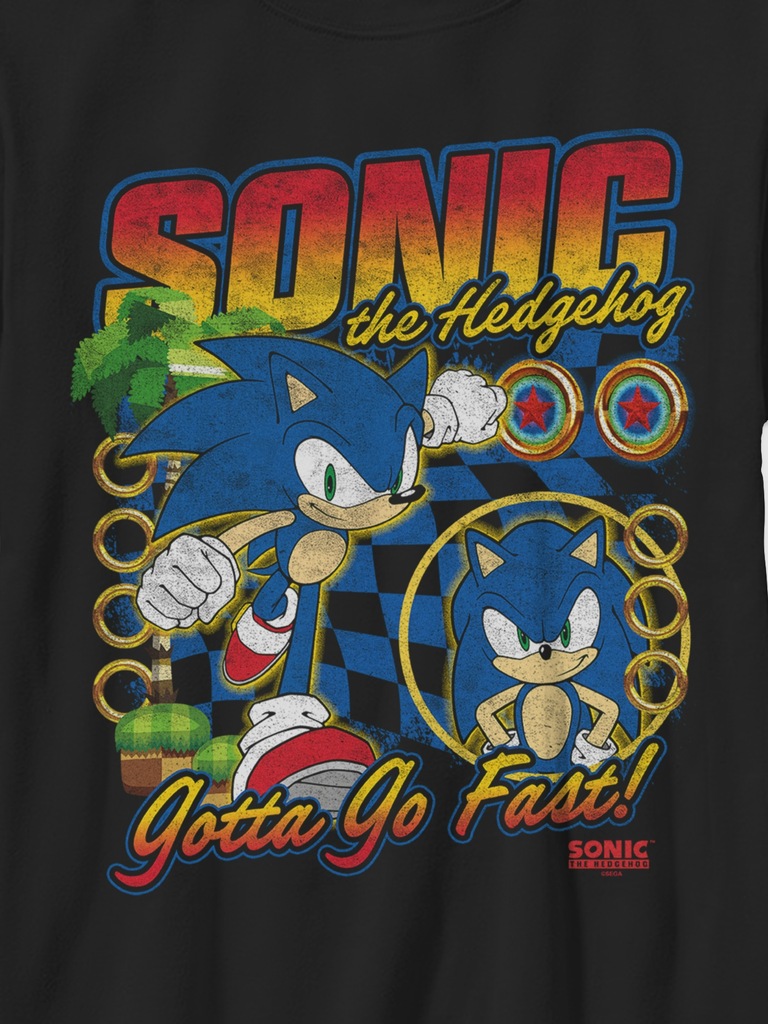 Sonic the Hedgehog Racer Sonic Gender-Neutral Graphic T-Shirt for Kids