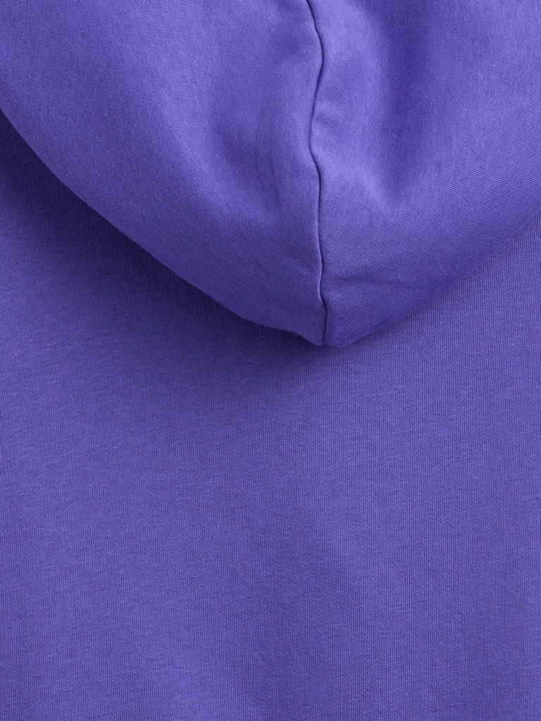 Kids Relaxed Half-Zip Fleece Hoodie