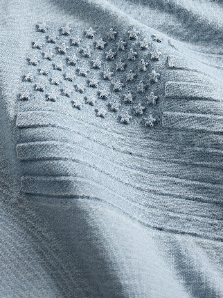 French Terry Americana Cropped Hoodie
