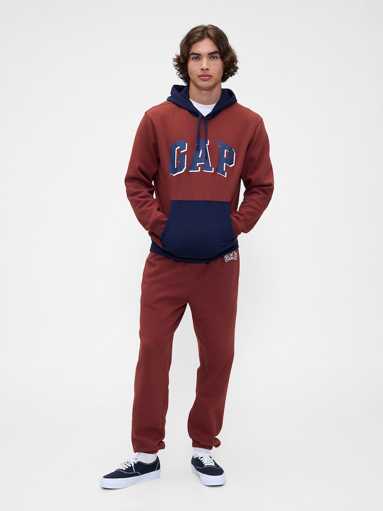 Relaxed Gap Logo Colorblock Hoodie