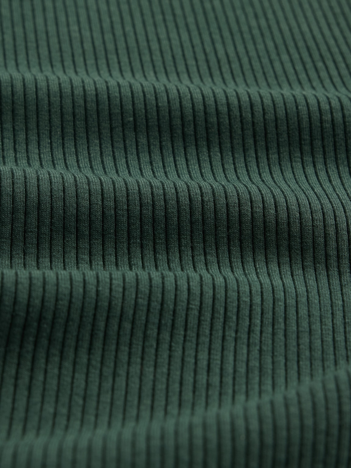 Modern Rib Crop T-Shirt