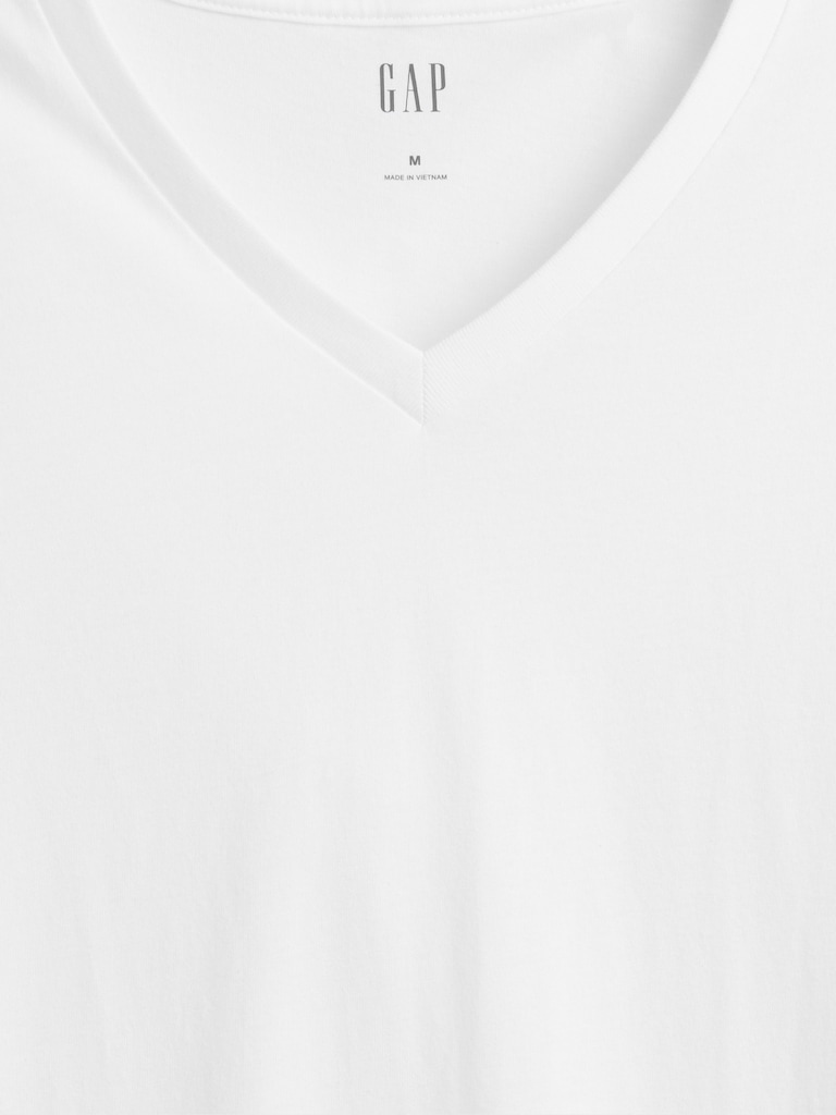 Everyday Soft V-Neck T-Shirt