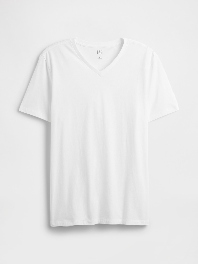 Everyday Soft V-Neck T-Shirt