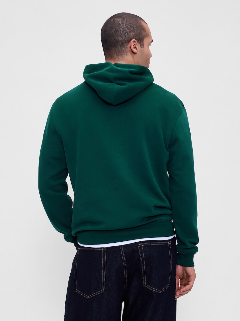 Adult VintageSoft Arch Logo Hoodie