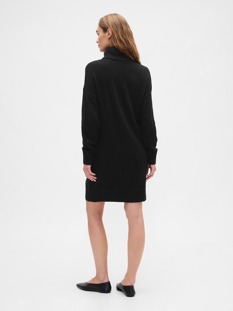 CashSoft Relaxed Turtleneck Sweater Mini Dress