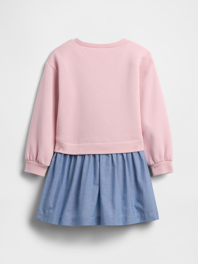 babyGap Sweatshirt Dress