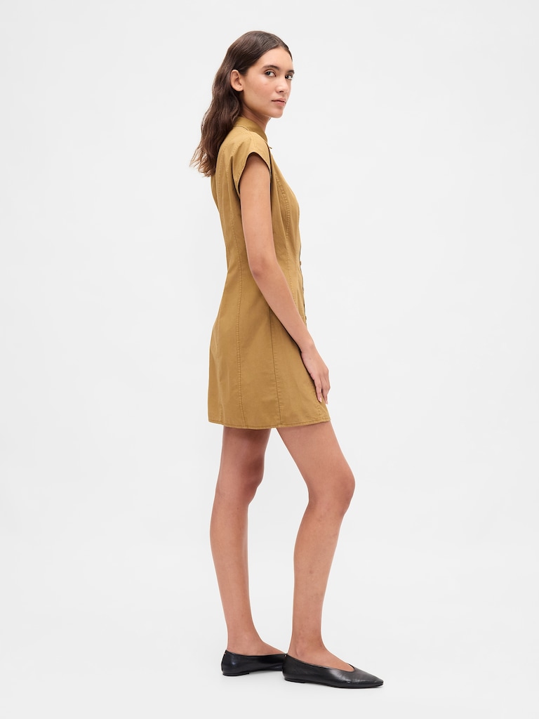 Poplin Seamed Shirtdress