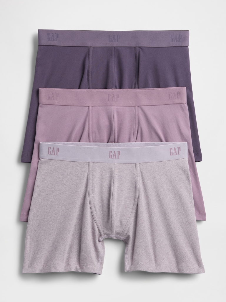 5" Boxer Briefs (3-Pack)