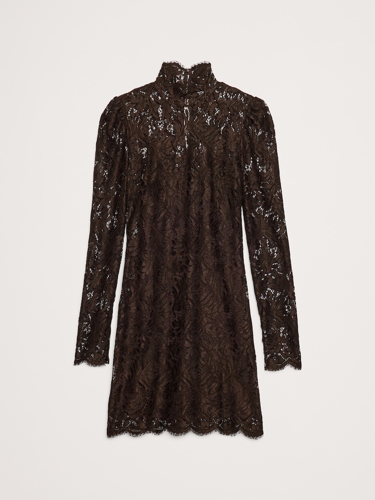 Stretch-Lace Mini Dress