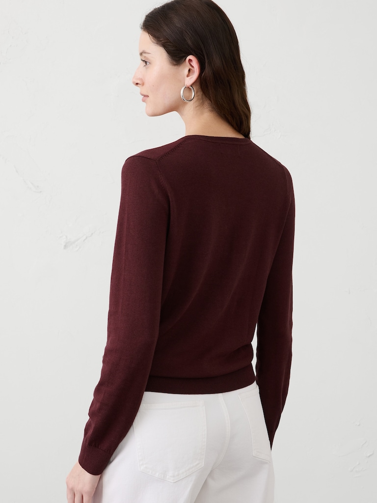 Forever V-Neck Sweater