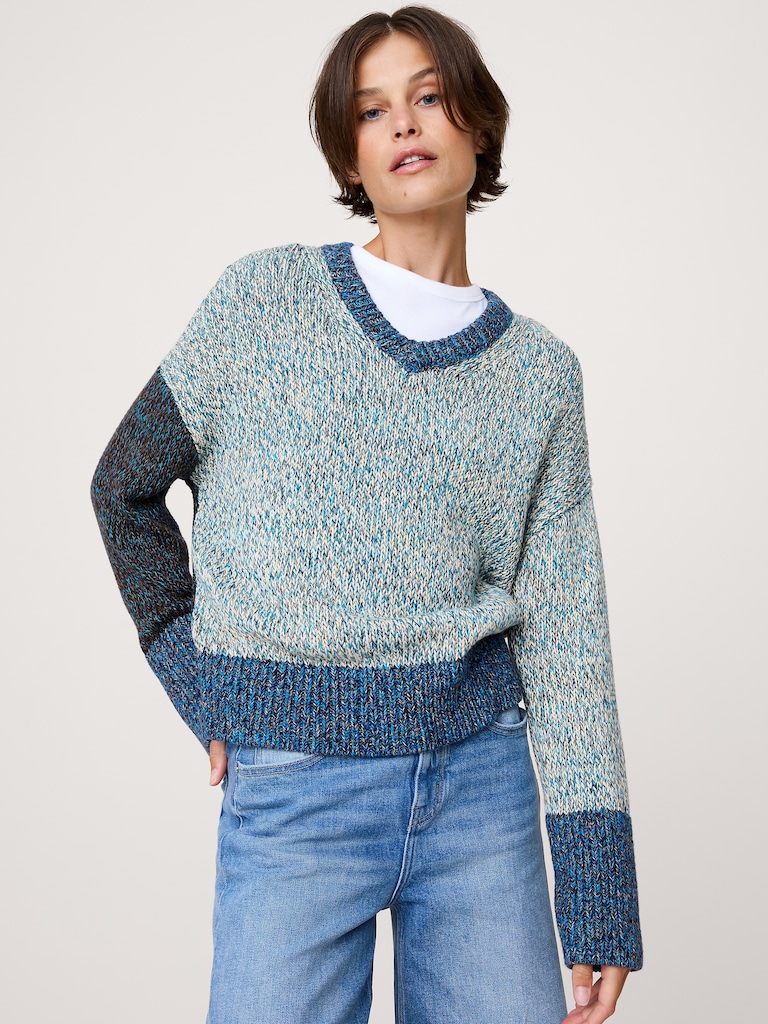Cotton V-Neck Sweater